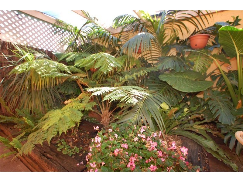 4 Bells Place, Reynella East SA 5161