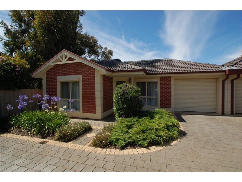 54b Furness Avenue, Edwardstown SA 5039