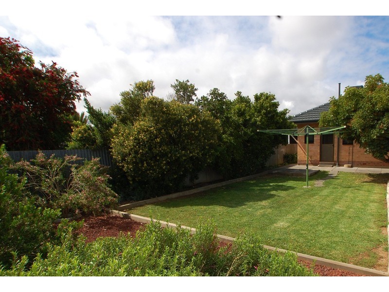 35 Allison Street, Ascot Park SA 5043