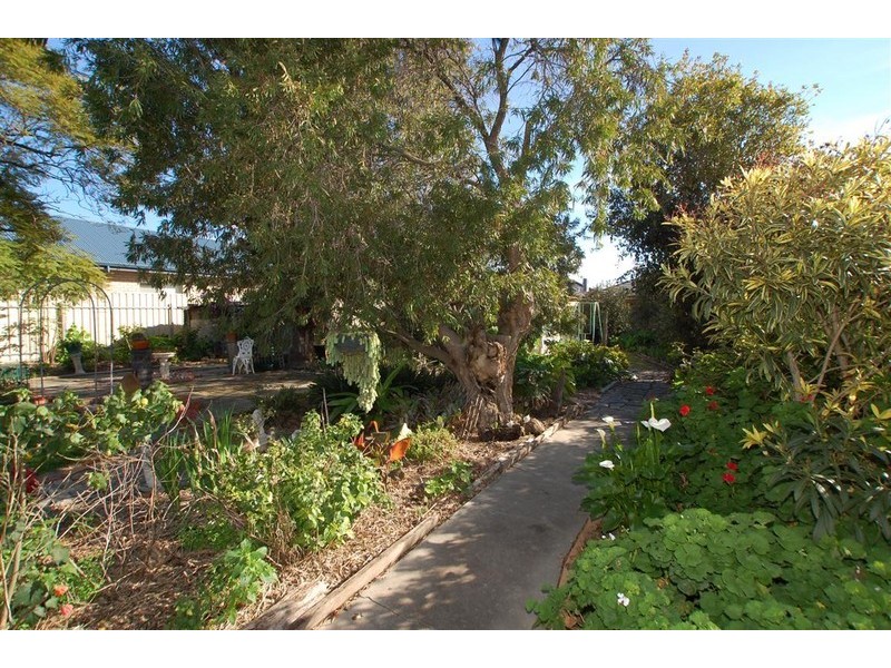 3 Fourth Avenue, Ascot Park SA 5043