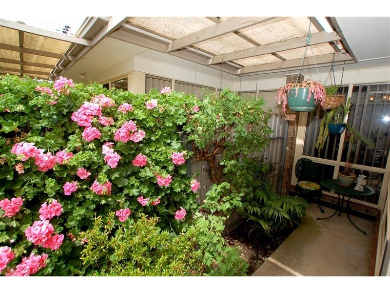 56A Condada Avenue, Park Holme SA 5043
