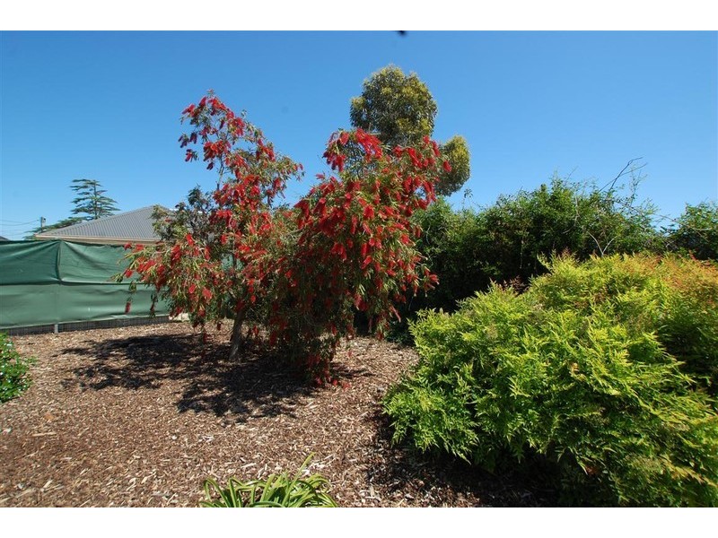 20 Vincent Street, South Plympton SA 5038