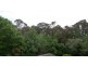 3 Willunga Close, Eden Hills SA 5050