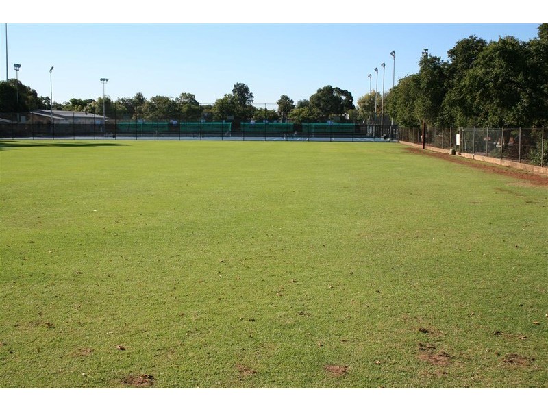 5 Argyle Ave, Millswood SA 5034