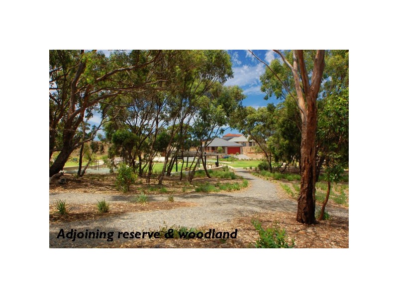 Lot 123 Spruce Court, Flagstaff Hill SA 5159