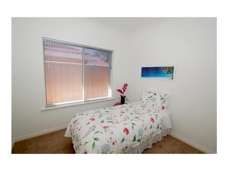 19 Allison Street, Ascot Park SA 5043