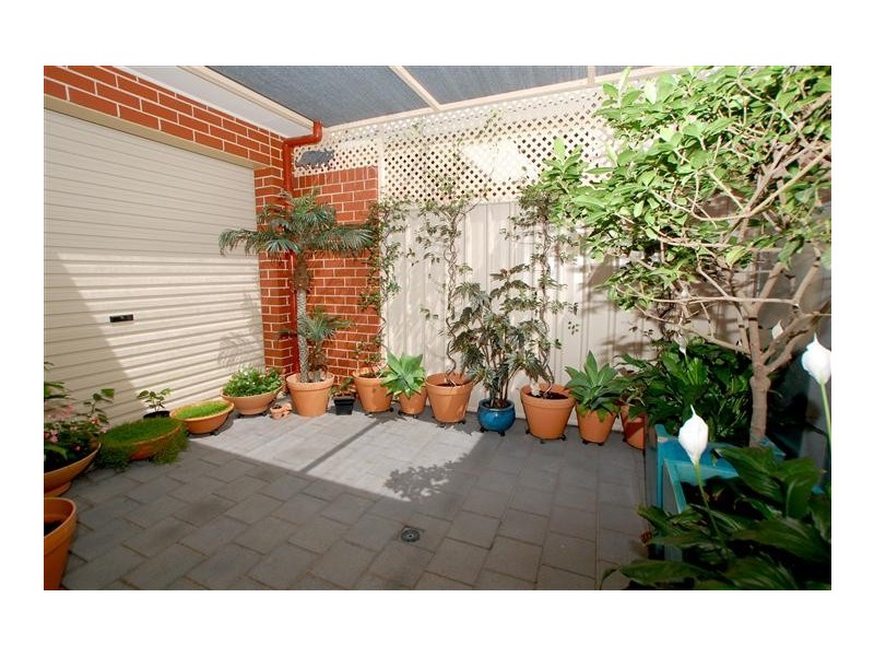 19 Allison Street, Ascot Park SA 5043