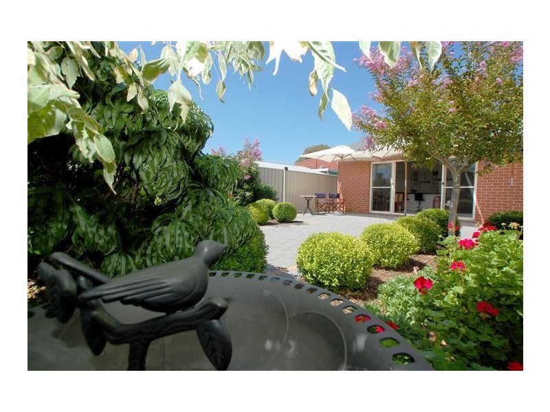 19 Allison Street, Ascot Park SA 5043