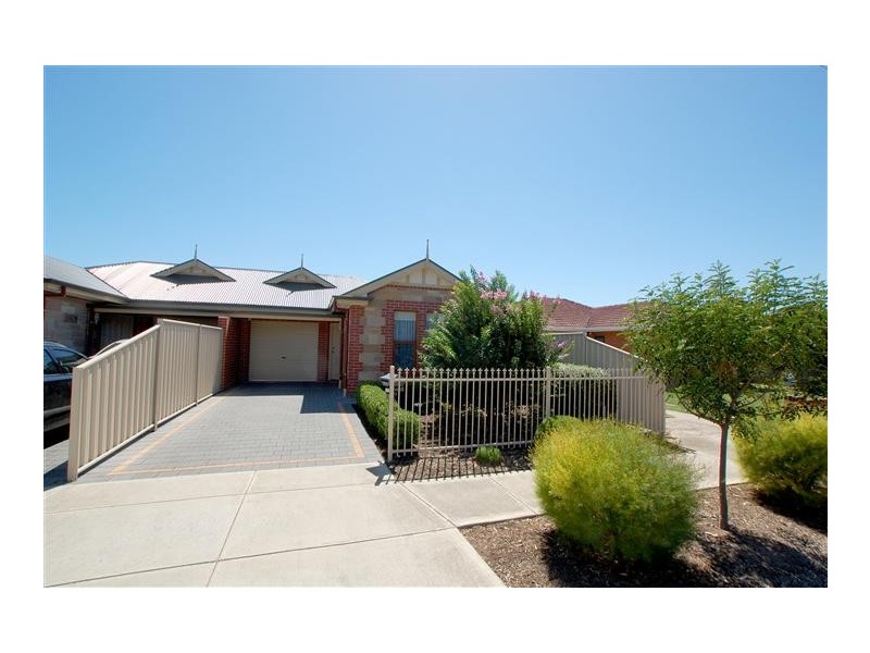 19 Allison Street, Ascot Park SA 5043