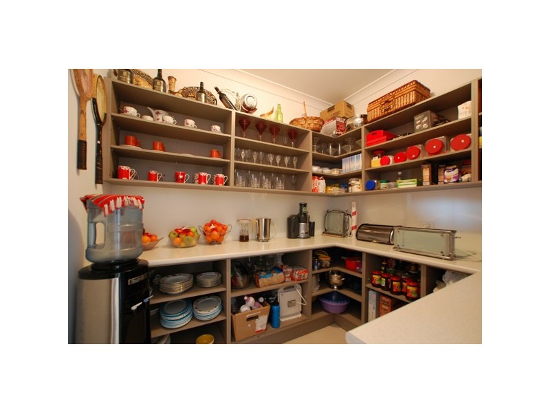 4 Norfolk Street, Flagstaff Hill SA 5159