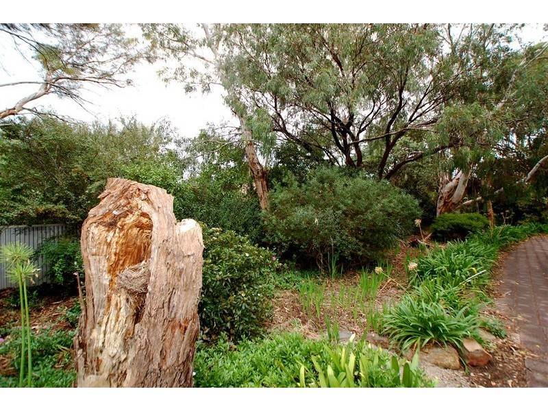 15 Moore Street, Willunga SA 5172