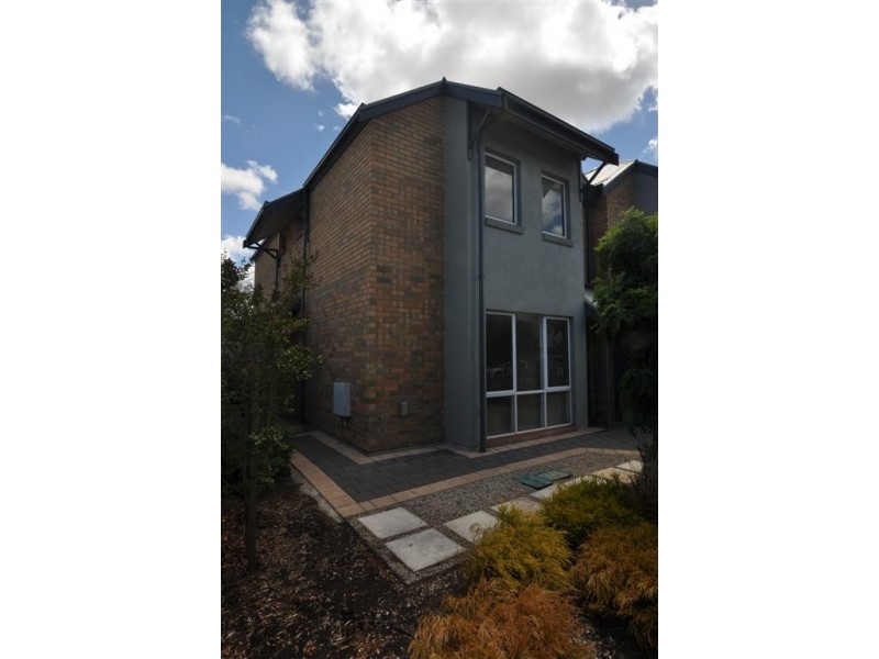 39 Frederick Street, Richmond SA 5033