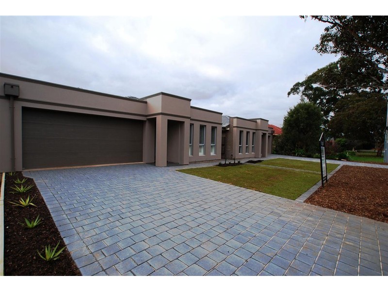 19 Pine Ave, Warradale SA 5046