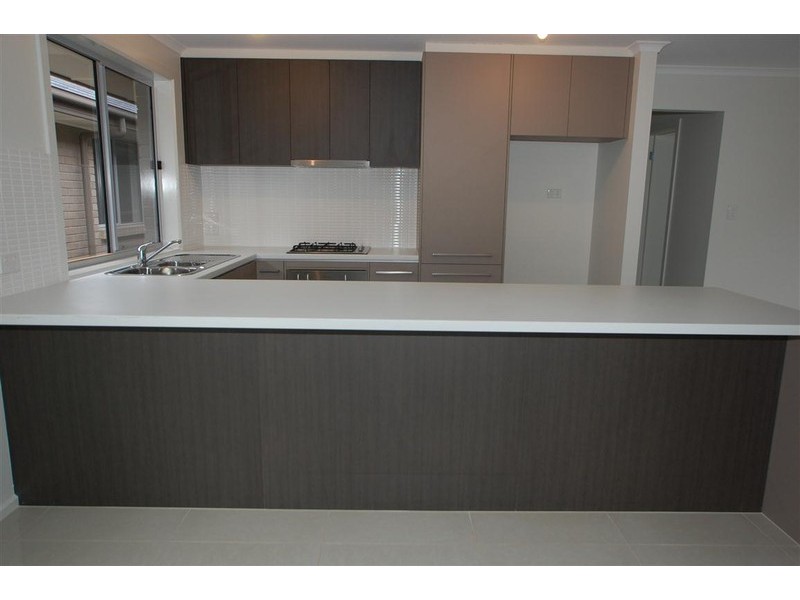 19 Pine Ave, Warradale SA 5046