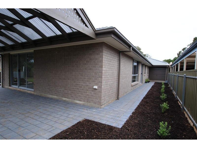 19 Pine Ave, Warradale SA 5046