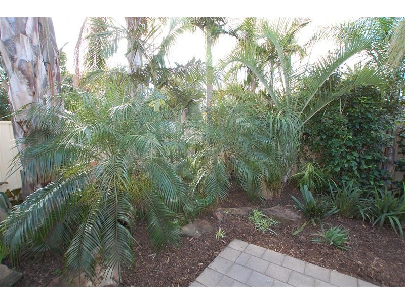 28 West Street, Ascot Park SA 5043