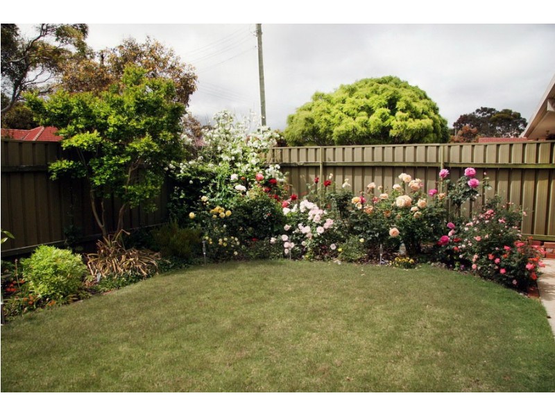 12 -14 Mary Street, Mitchell Park SA 5043