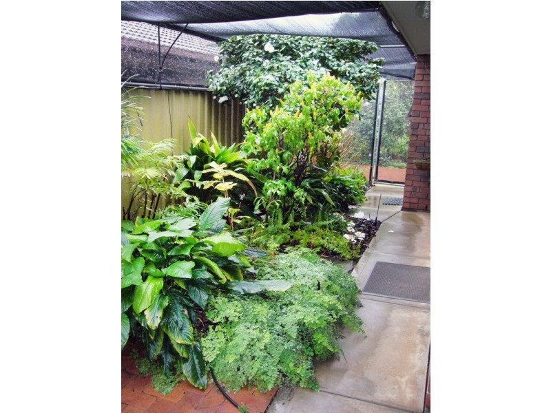 12 -14 Mary Street, Mitchell Park SA 5043