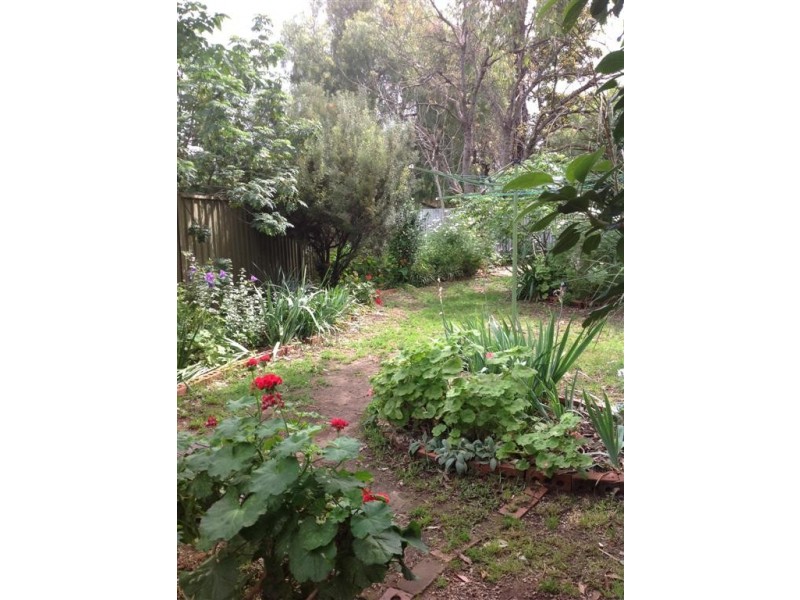 18 First Avenue, Forestville SA 5035