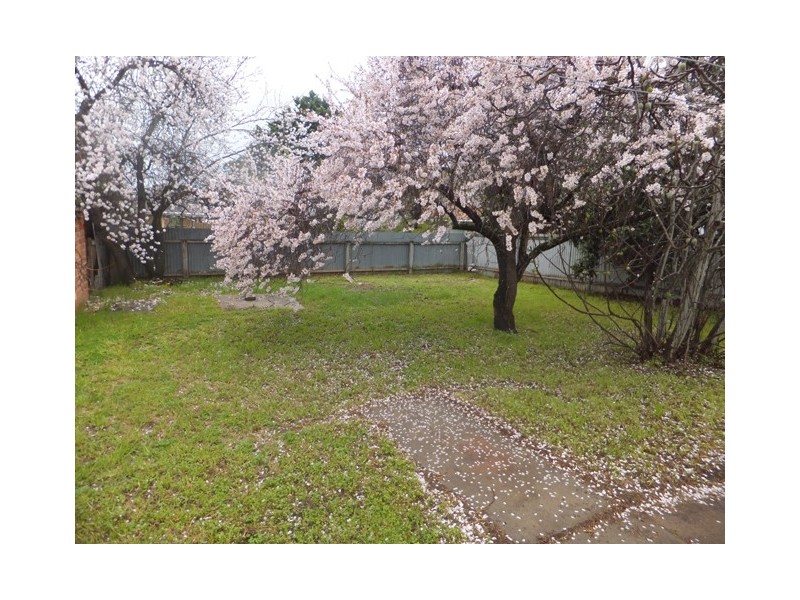 17 Merriton Avenue, St Marys SA 5042