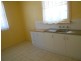 20 Daisy Avenue, Mitchell Park SA 5043