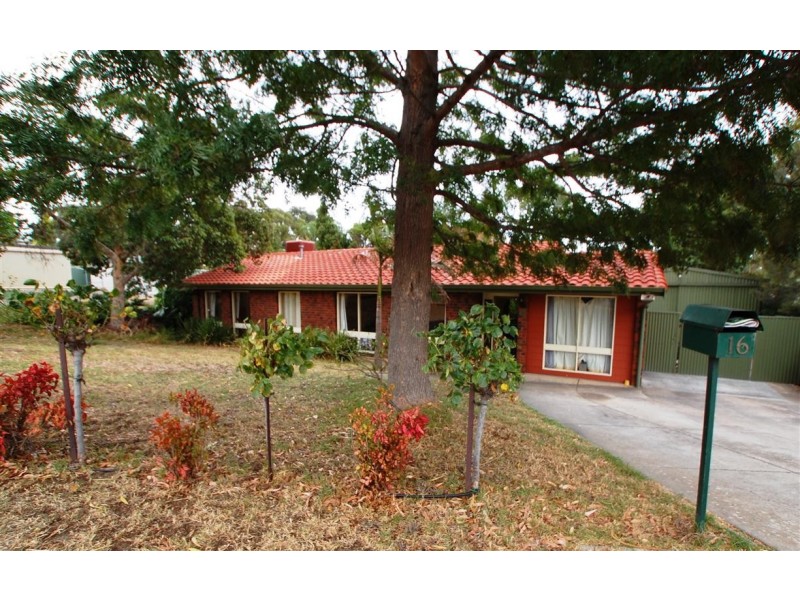16 Blinkbrae Avenue, Happy Valley SA 5159