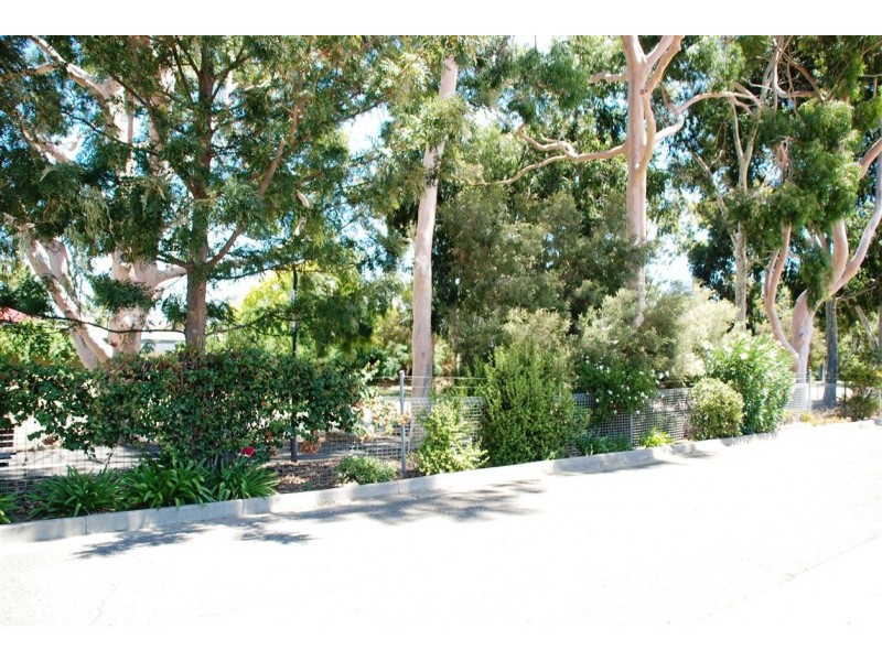 2/16 Finniss St, Marion SA 5043