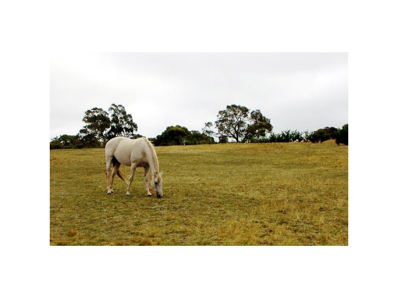 Lot1 Ridge Road, Nangkita SA 5210