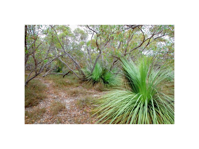 Lot1 Ridge Road, Nangkita SA 5210