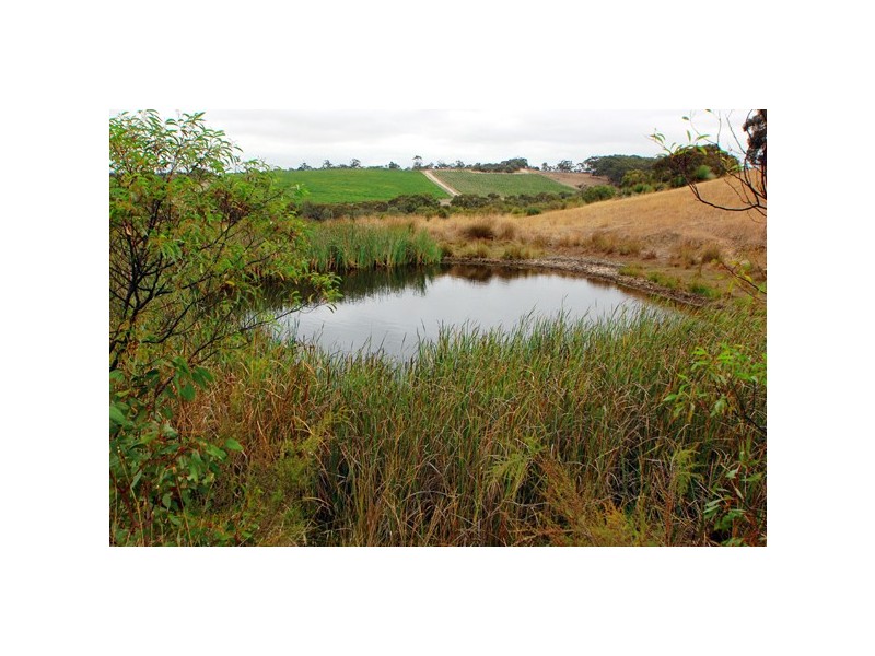 Lot1 Ridge Road, Nangkita SA 5210