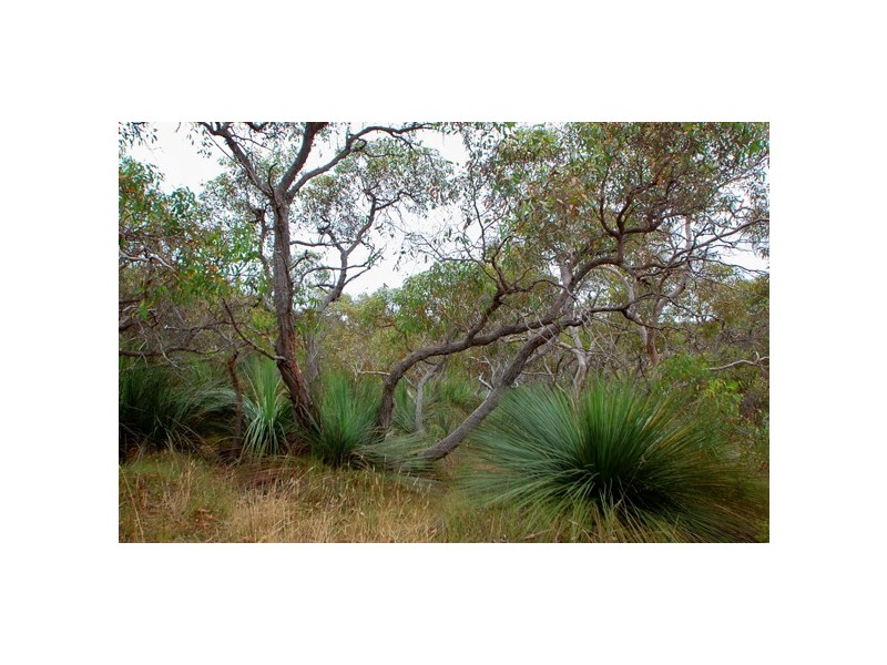 Lot1 Ridge Road, Nangkita SA 5210