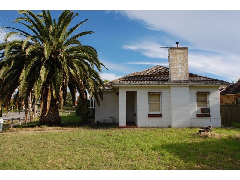 67 Pine Avenue, Glenelg North SA 5045