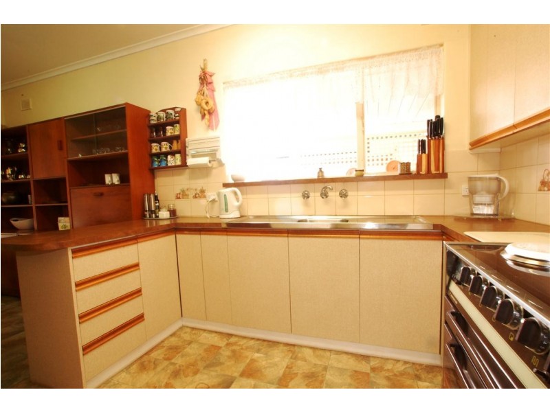 14 Nicholas Road, Marion SA 5043