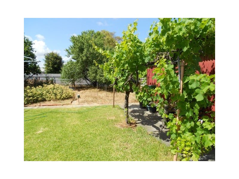 26 BRAY STREET, Plympton Park SA 5038