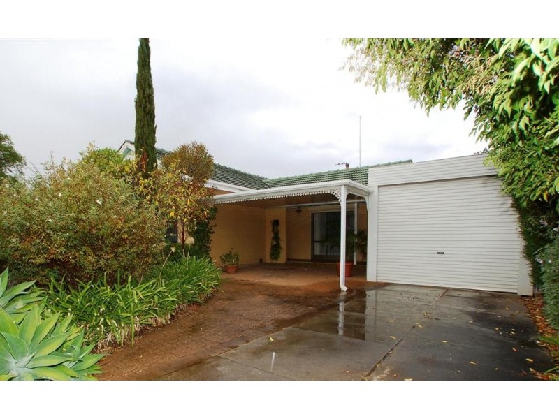 16 Lawson Avenue, Morphettville SA 5043