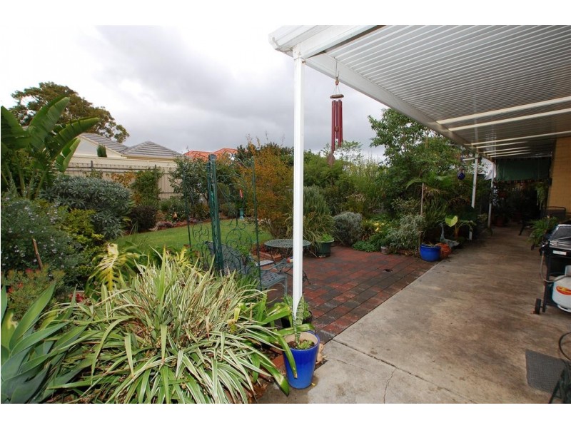 16 Lawson Avenue, Morphettville SA 5043