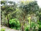 46 Ironbark Avenue, Flagstaff Hill SA 5159