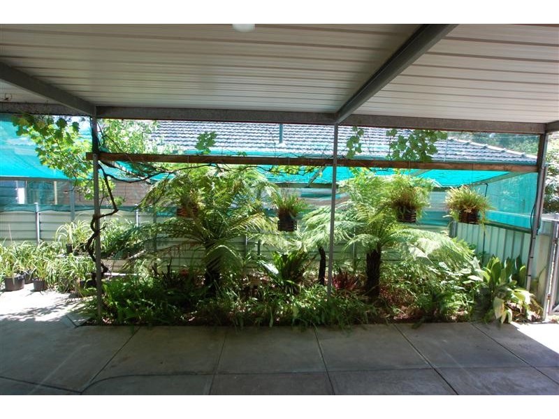 6 Corella Avenue, Glenalta SA 5052