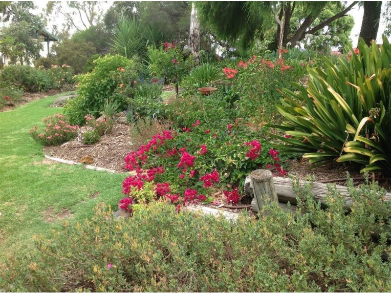 103 Black Road, Flagstaff Hill SA 5159