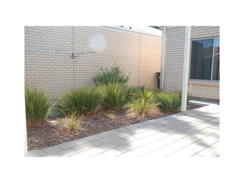 25 Downer Street, Plympton Park SA 5038