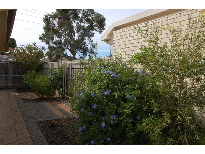 11 Peterson Ave, Mitchell Park SA 5043