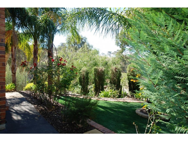 46 Ironbark Avenue, Flagstaff Hill SA 5159