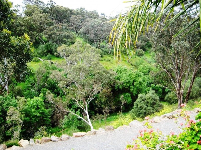 46 Ironbark Avenue, Flagstaff Hill SA 5159