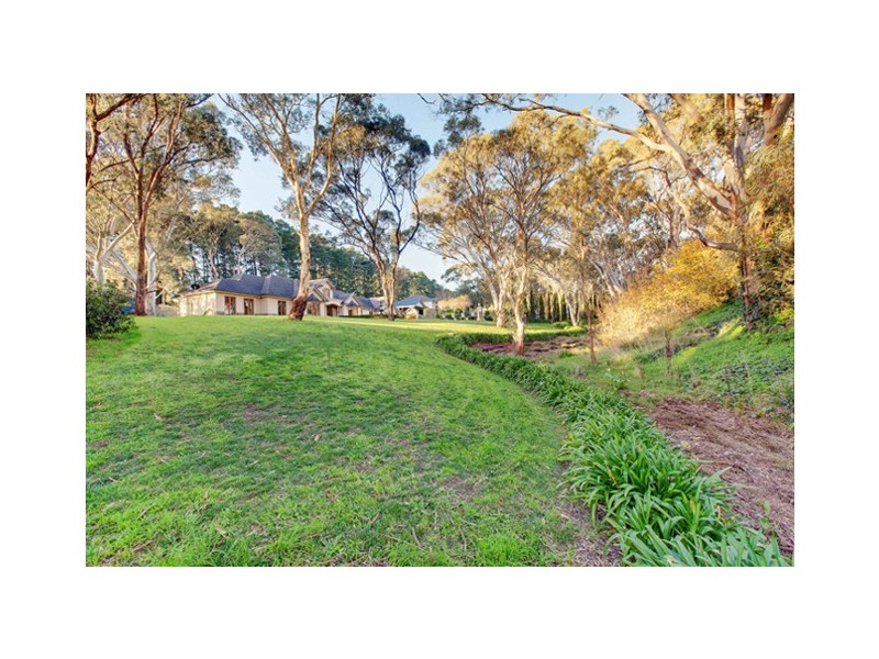 14 Nicholas Walk, Aberfoyle Park SA 5159