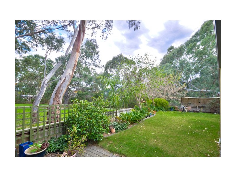 17 Margaret Cutten Grove, Aberfoyle Park SA 5159