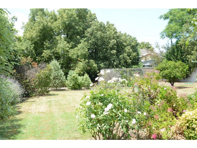 11 Fulton Street, Brighton SA 5048