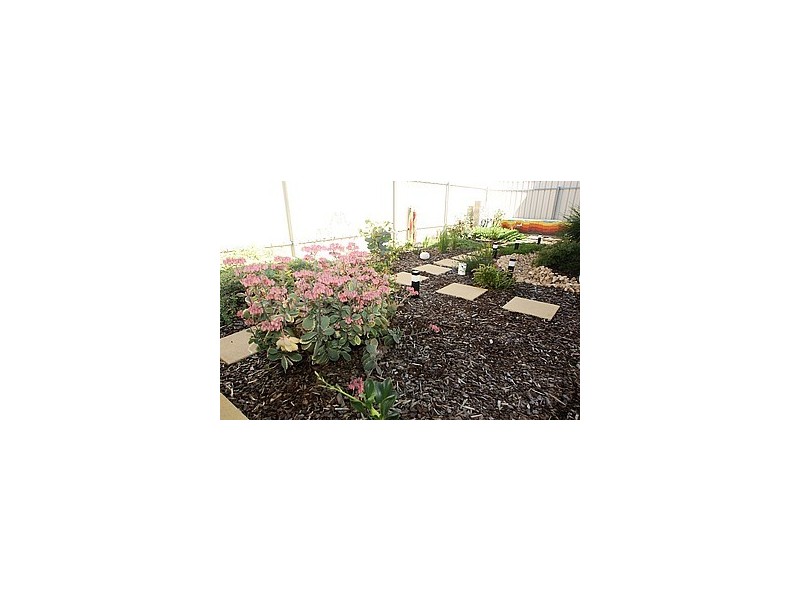 99C Railway Terrace, Ascot Park SA 5043