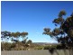 18 ELGIN WAY, Flagstaff Hill SA 5159