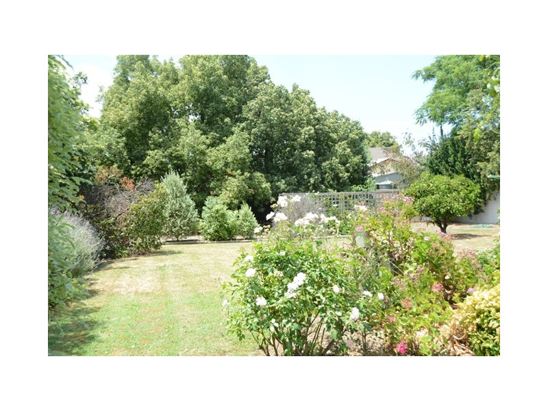 11 Fulton Street, Brighton SA 5048