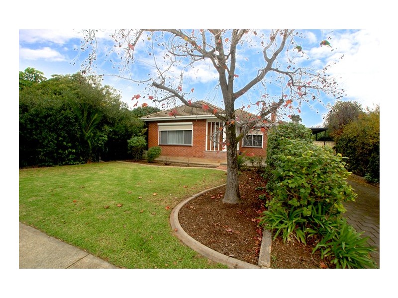 50 Woodlands Terrace, Edwardstown SA 5039